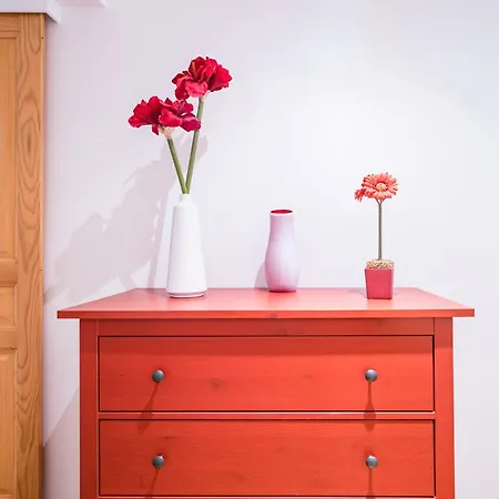 Duplex Valcopin 公寓