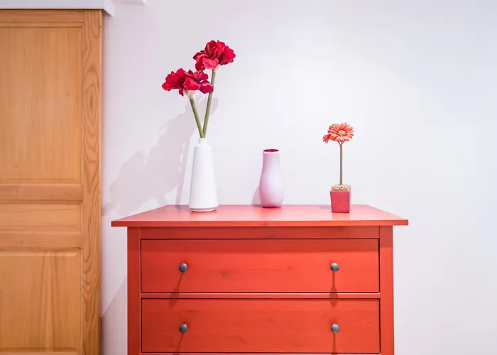 Duplex Valcopin 公寓